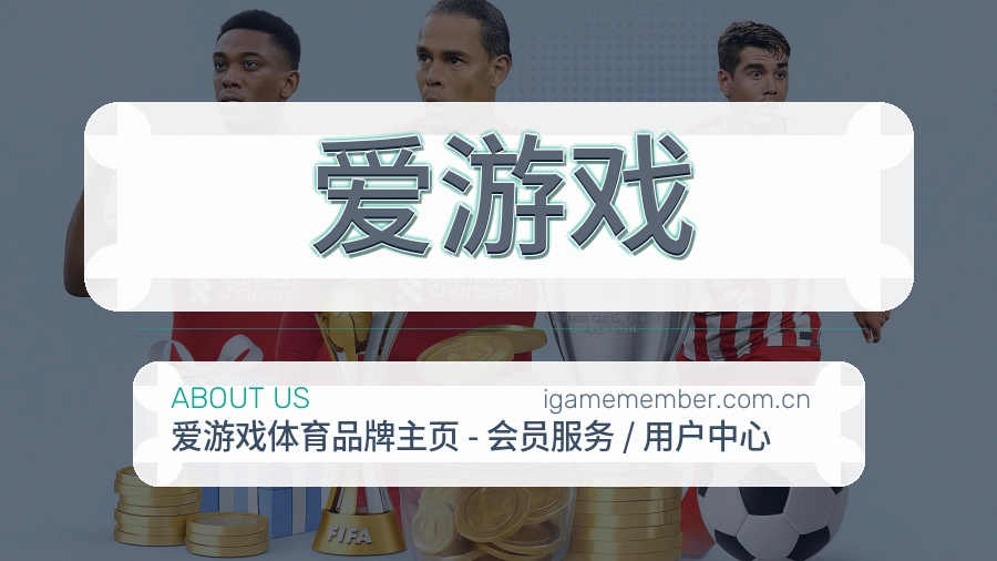 爱游戏关于我们